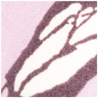 Турбан мису бич